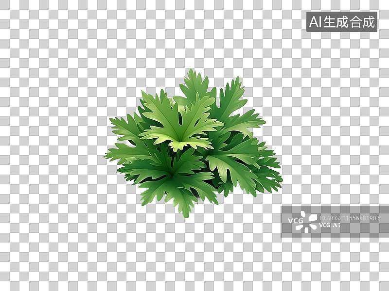 【AI数字艺术】端午节艾草艾叶免抠元素图片素材