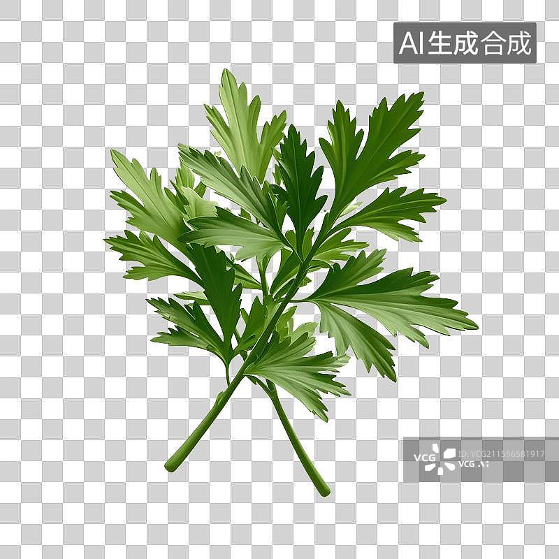 【AI数字艺术】端午节艾草艾叶免抠元素图片素材