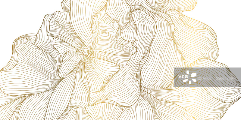 白色花卉线条背景上的金色图片素材