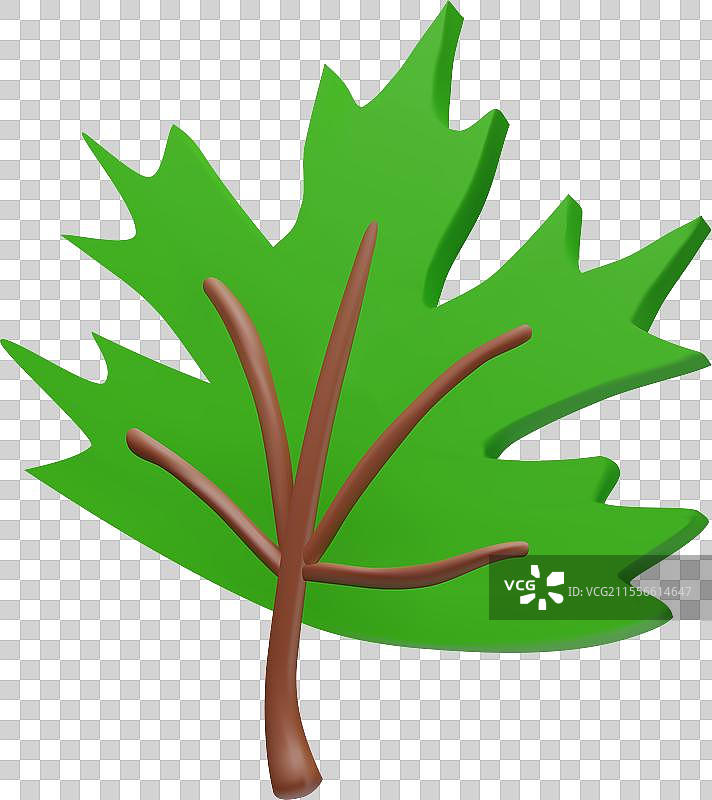 绿色的三维秋天枫叶图片素材