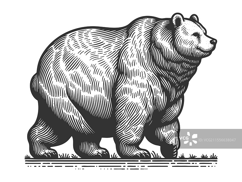 胖乎乎的熊雕刻图片素材