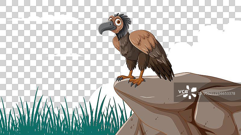 卡通秃鹫站在石头上，蓝天背景图片素材