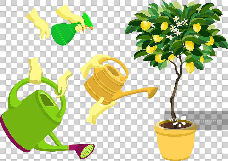 柠檬树和园艺工具的组合图片素材