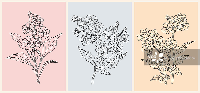 一线画勿忘我花朵印刷套装图片素材