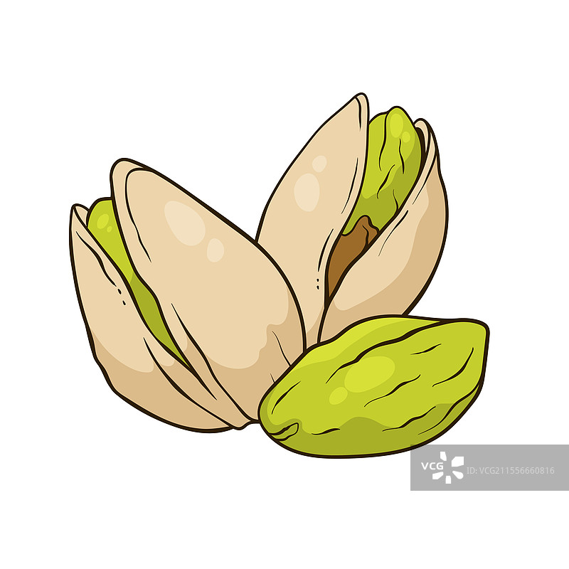 带壳和去壳的开心果坚果食品图片素材