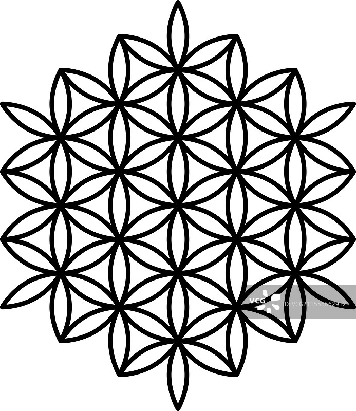 生命之花神圣几何轮廓线图片素材