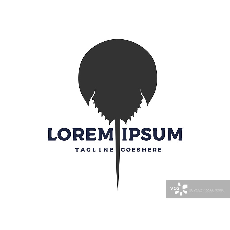 复古的海洋与大西洋鲎图片素材