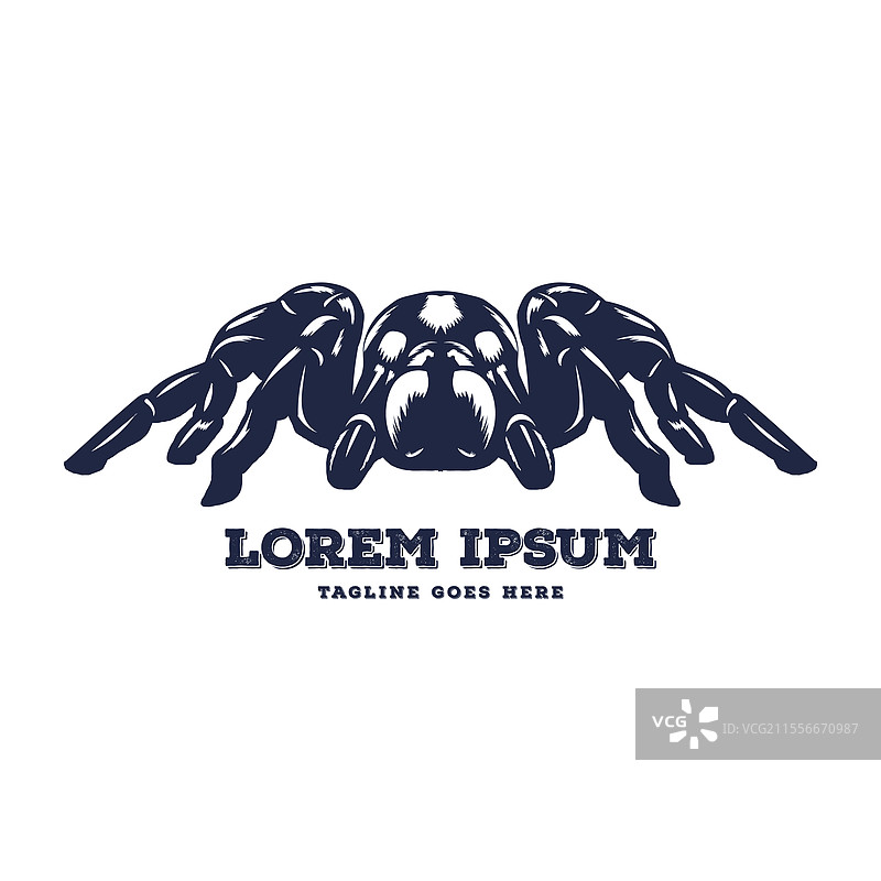 复古风格的黑色寡妇蜘蛛塔兰图拉标志图片素材