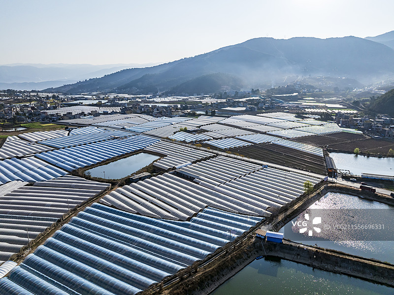 四川凉山州德昌县田园风光大棚果蔬种植图片素材