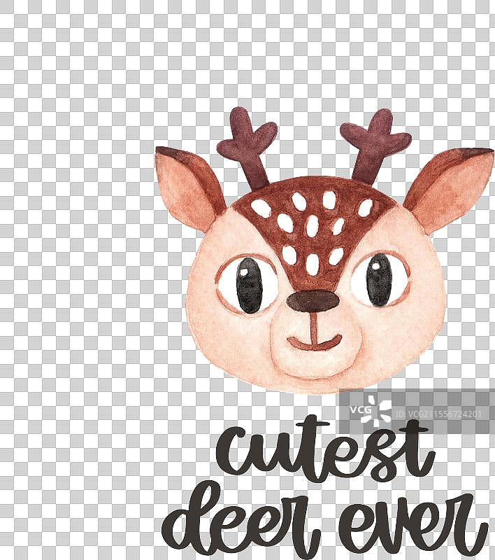 最可爱的鹿图片素材