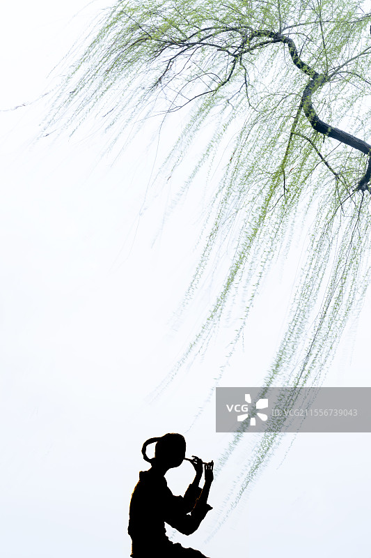 2025光影相随|西子湖畔的别样春光图片素材