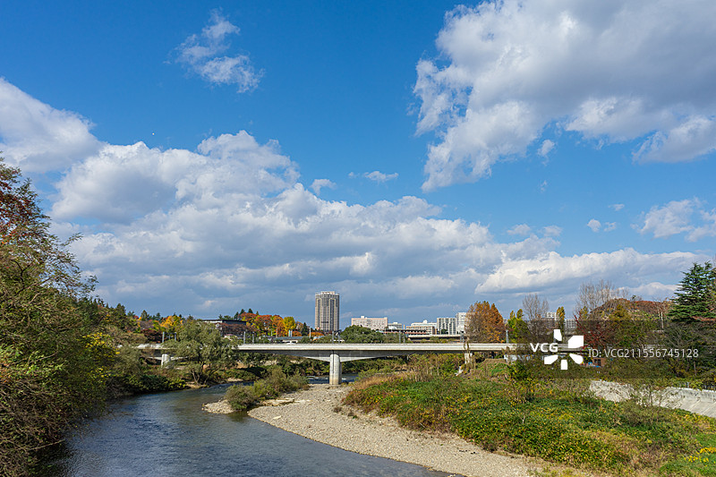蓝天白云下的城市建筑和桥梁图片素材