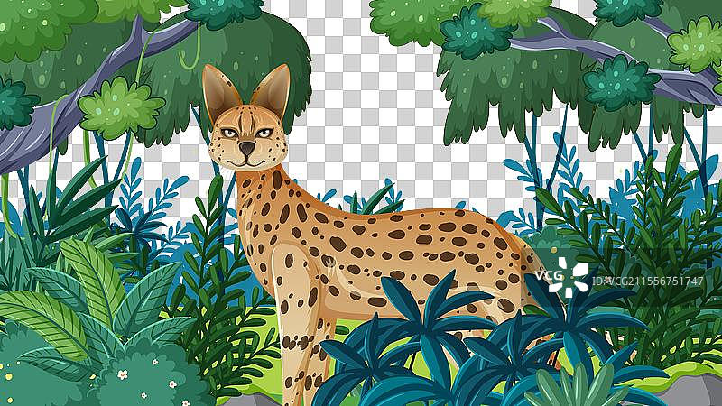 在密林中的一只猎豹猫图片素材