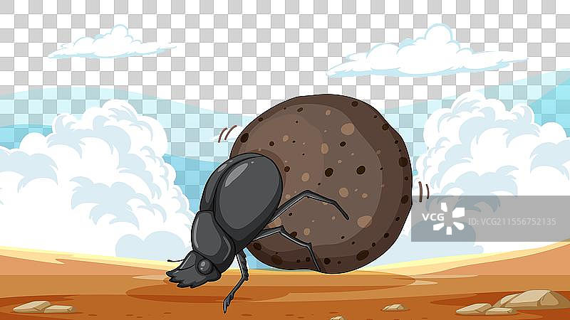 卡通甲虫努力承受沉重的负担图片素材