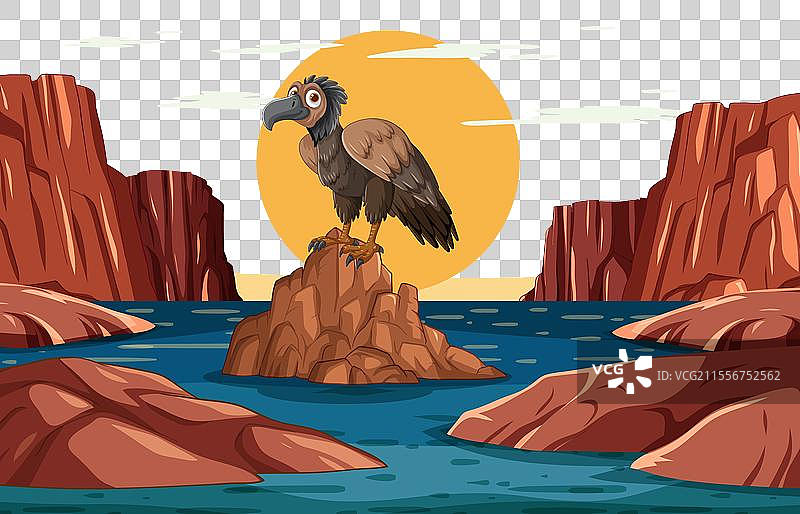 卡通秃鹫栖息在日落时的岩石上图片素材