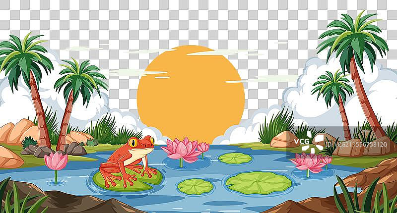 色彩斑斓的青蛙栖息在风景如画的池塘里的睡莲叶上图片素材