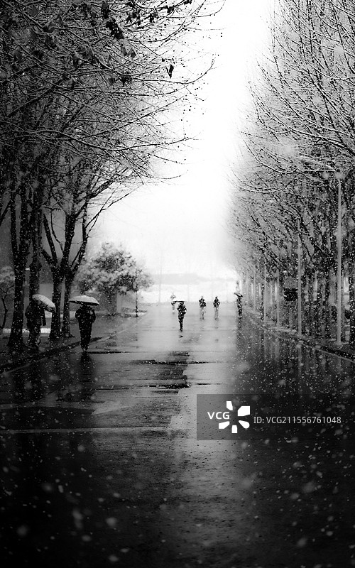 风雪中的行人图片素材