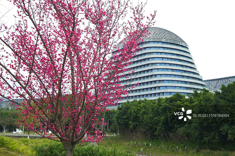 重庆悦来温德姆酒店图片素材