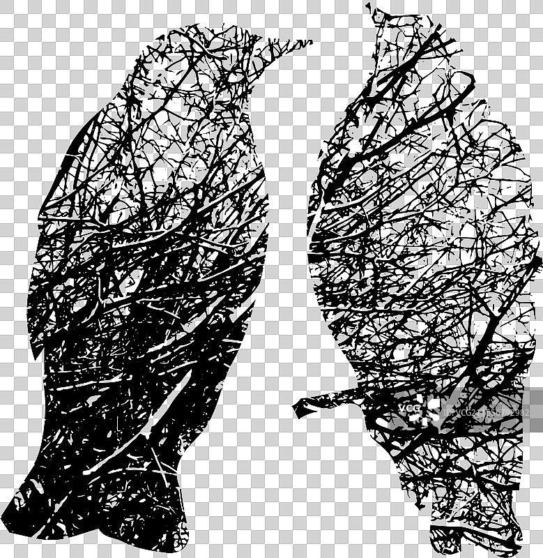 树木剪影与鸟类图片素材