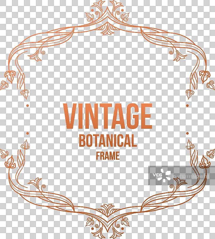 复古植物框架图片素材