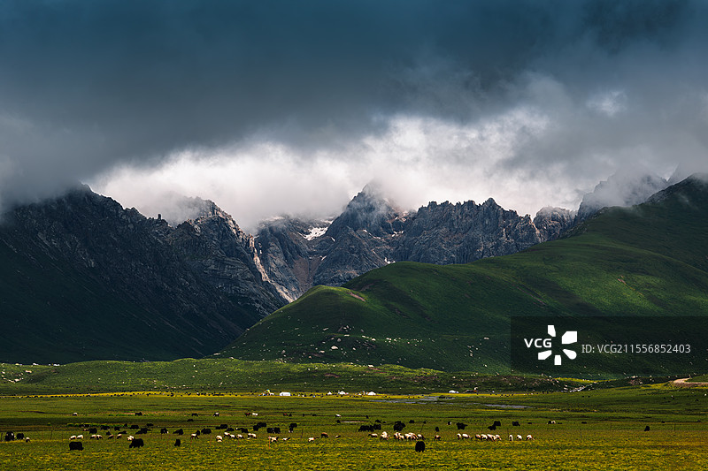 青海久治雪山牧场图片素材