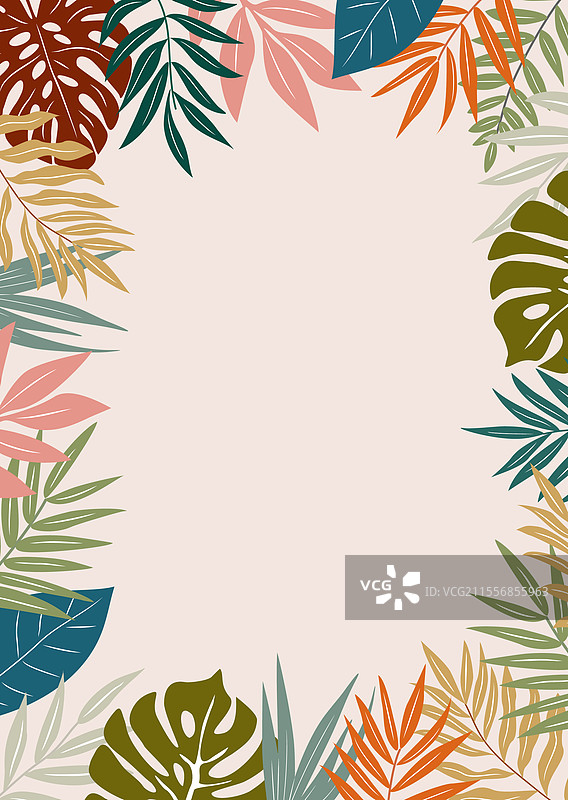 夏季框架与五彩缤纷的热带植物叶子图片素材
