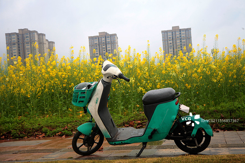 摩托车与油菜花图片素材