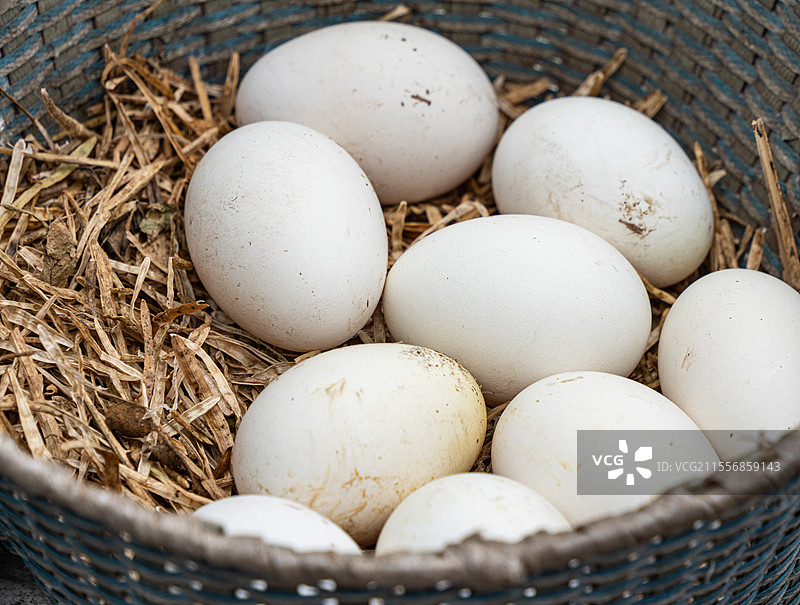 篮子里的鹅蛋特写图片素材