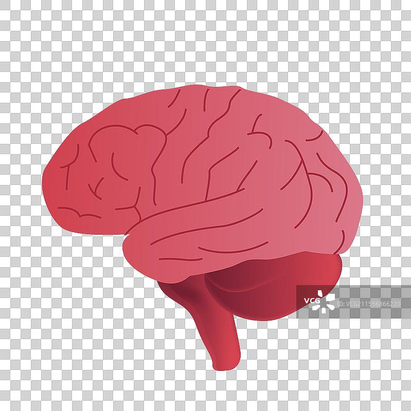 脑健康日世界卒中日脑部健康医疗脑出血预防中风体检图片素材