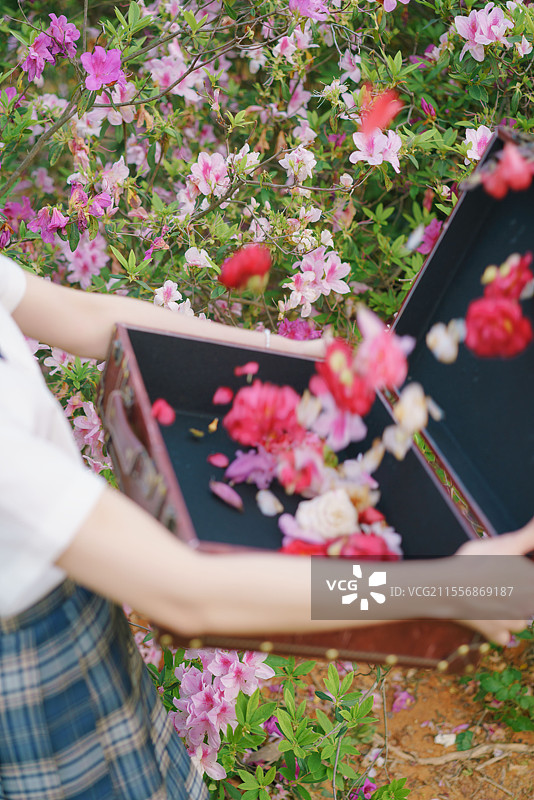 广州，华南植物园，山茶花，jk少女写真图片素材