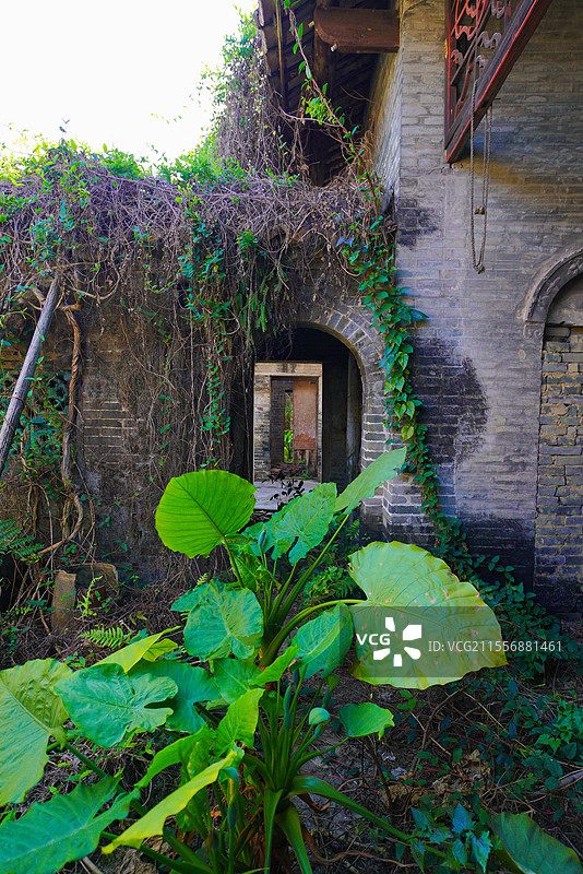 广州市从化区，太平镇，钟楼古村，乡村建筑之美！图片素材