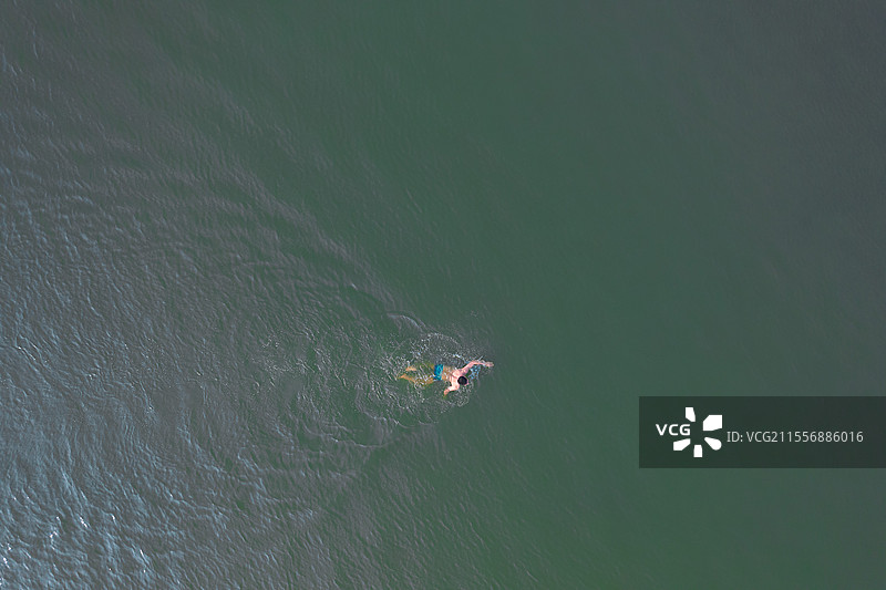 东莞石排镇，鲤鱼洲，航拍东江小岛自然环境之美！图片素材