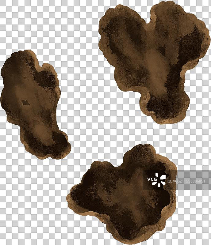 三片熟地黄中药材插画图片素材