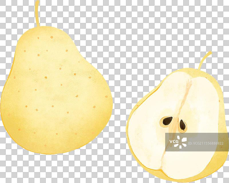 两个雪梨水果插画图片素材