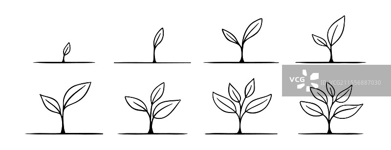 生长的幼芽植物涂鸦手绘图标集图片素材