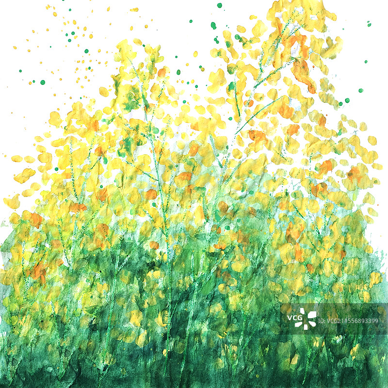 手绘水粉国画油菜花田春天油菜花图片素材