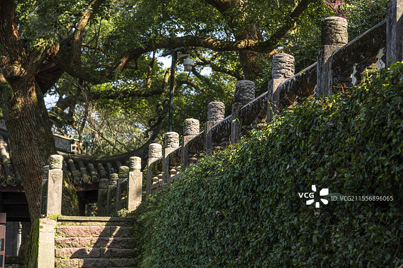 杭州西湖园林古建筑栏杆与大树形成有趣的光影图片素材
