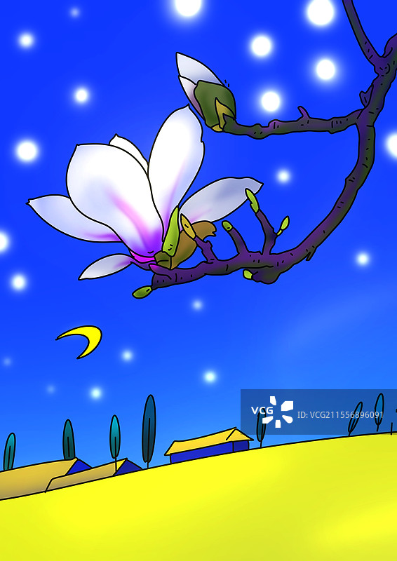 春天 治愈 插画 夜晚 星空 玉兰花图片素材