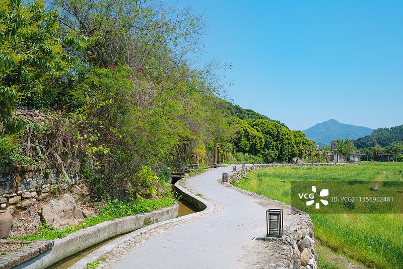 广州市从化区，罗洞工匠小镇，麦田乡村田园风光！图片素材