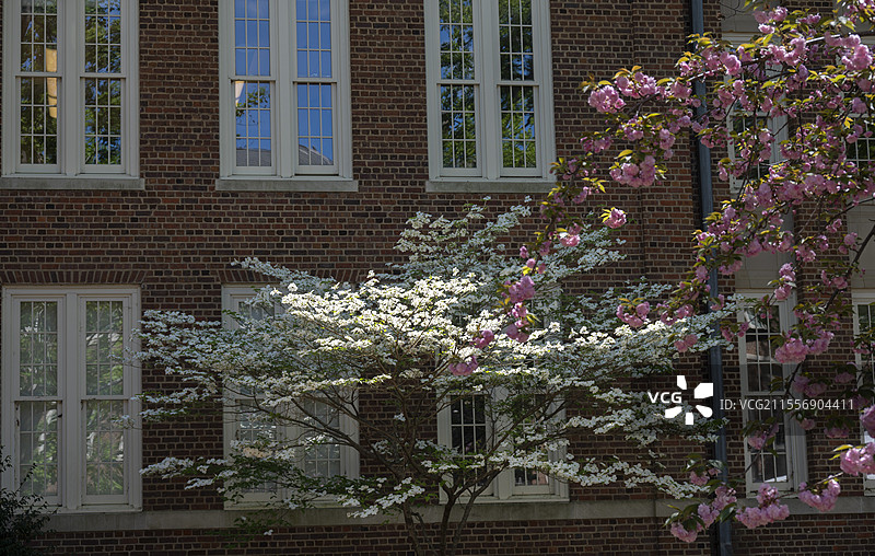 美国杜克大学春天的校园和花园图片素材