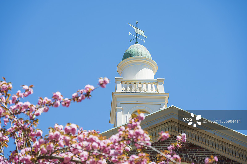美国杜克大学春天的校园和花园图片素材