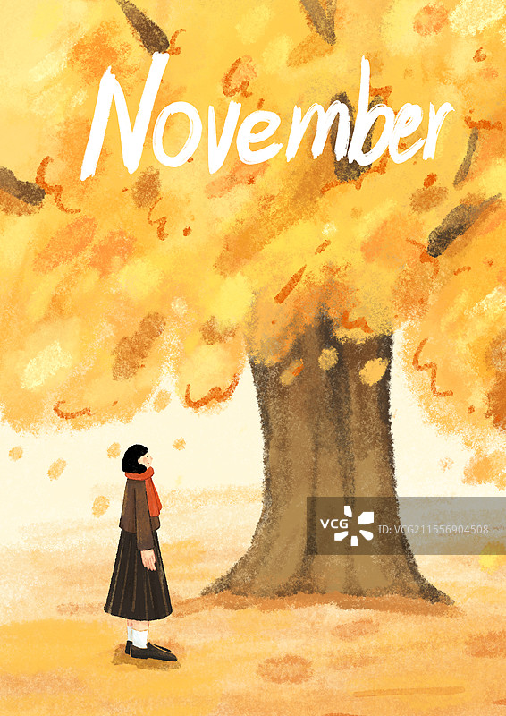 11月银杏插画图片素材