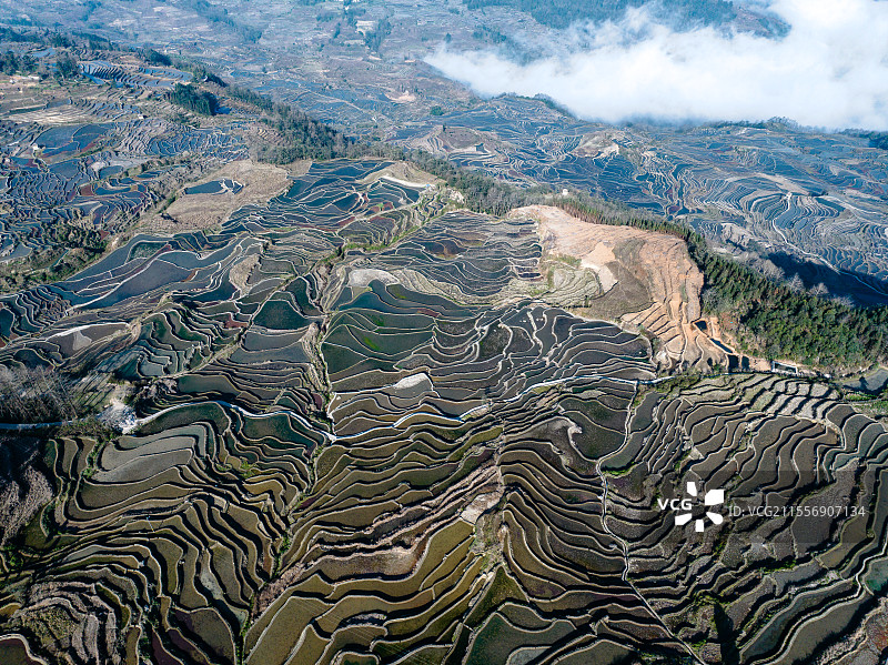 元阳爱春蓝梯田图片素材