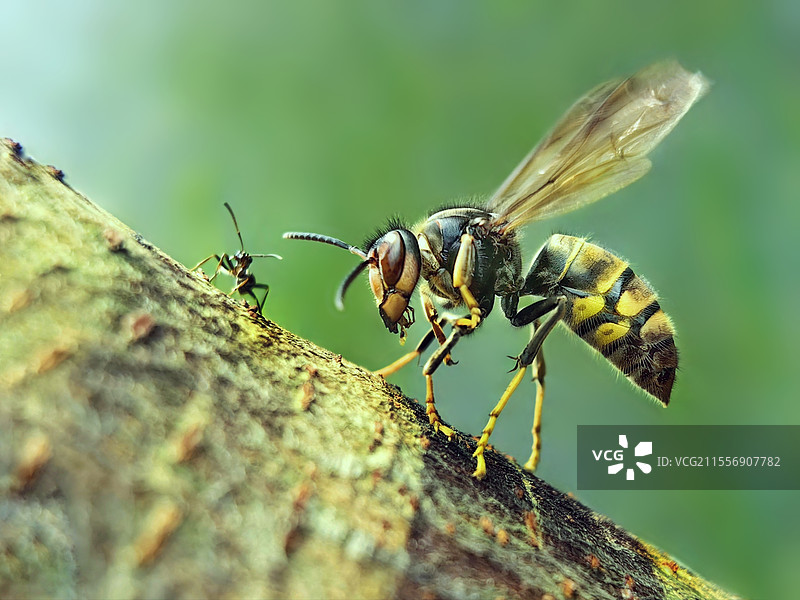 你是谁？图片素材