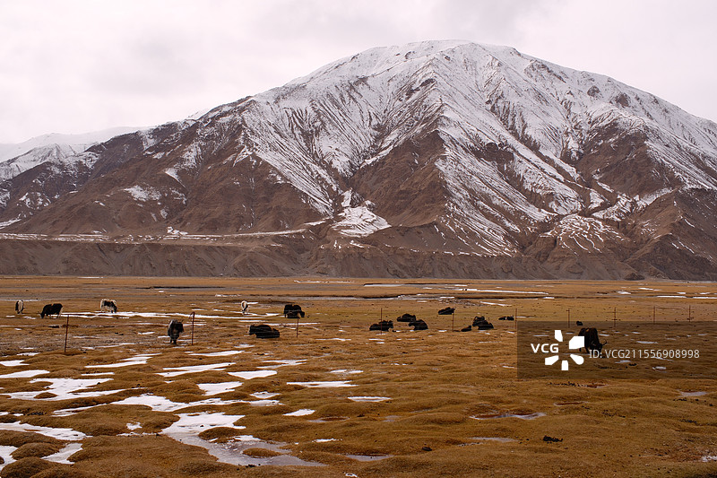 新疆南疆雪山湿地图片素材