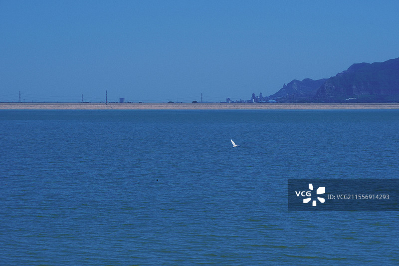 蓝色调背景图。蓝色天空。蓝色水面。白色飞鸟。白鹭飞图片素材