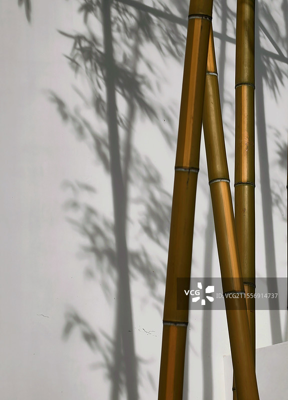 竹与影图片素材