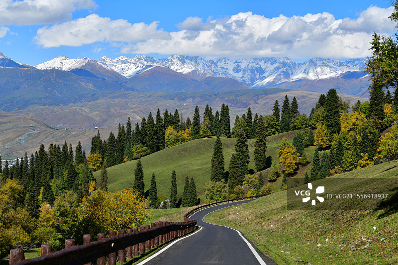那拉提 绿色 美景图片素材