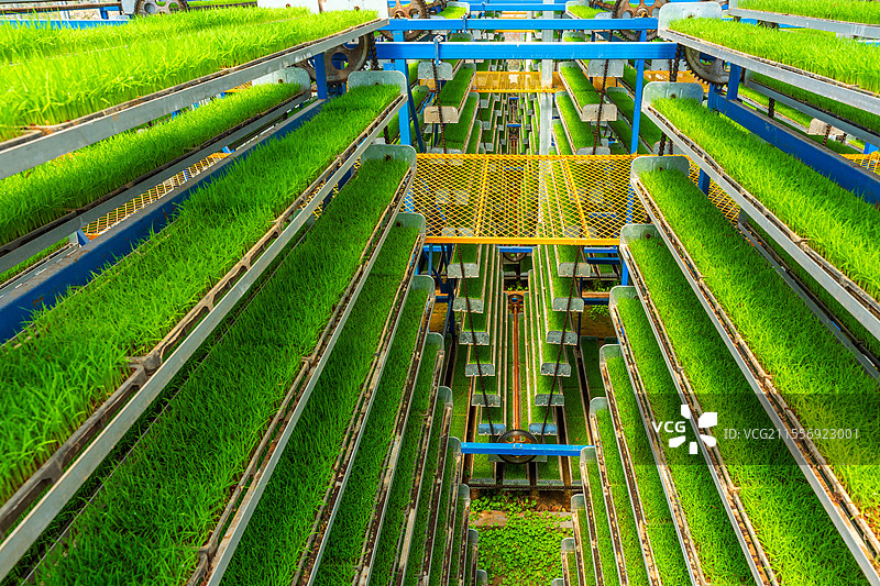智能化立体育秧工厂图片素材