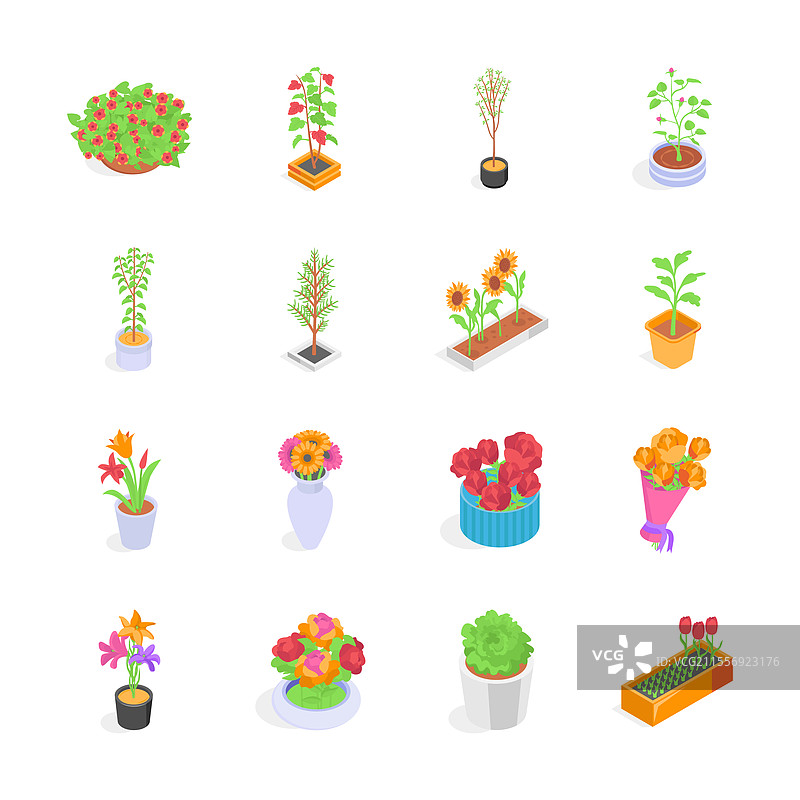 多彩植物和花卉的盆栽集合图片素材